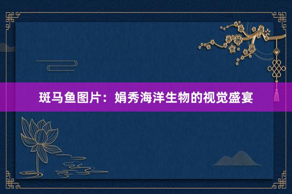 斑马鱼图片：娟秀海洋生物的视觉盛宴